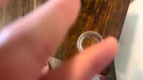 xoxowtf online show from April 16, 2:28 pm