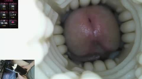 xoxowtf online show from March 9, 9:42 pm