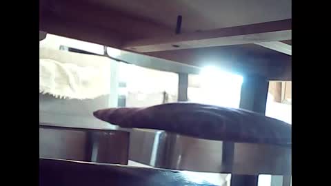 xsoul72 online show from April 8, 3:32 pm