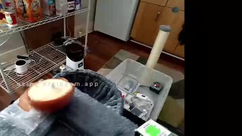 Johnny online show from February 10, 6:56 pm