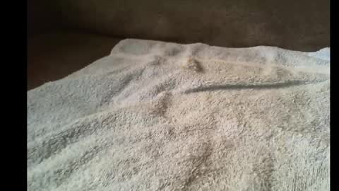 xxbigdick90xx online show from May 11, 6:48 am