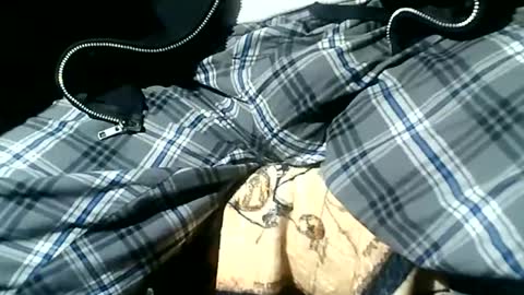 yamagrow online show from March 15, 5:48 am