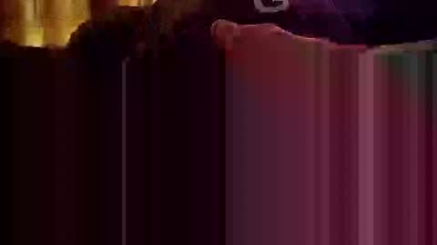 yangolox3 online show from September 18, 2:30 pm