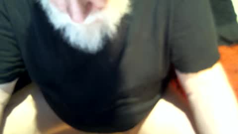 .     y e l l o w s n a k e s       . online show from February 1, 12:05 pm