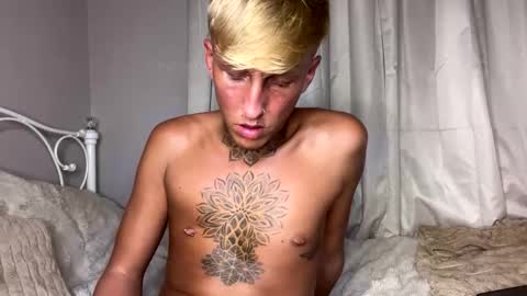 Harrison online show from November 11, 8:14 pm