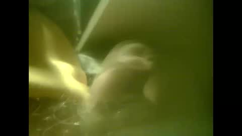 zaboski4 online show from February 25, 8:04 am