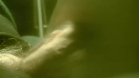 zaboski4 online show from February 2, 8:02 am