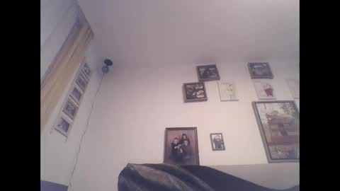 Zippi online show from September 19, 4:51 pm