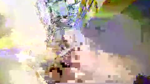 zippy001 online show from December 6, 11:33 am