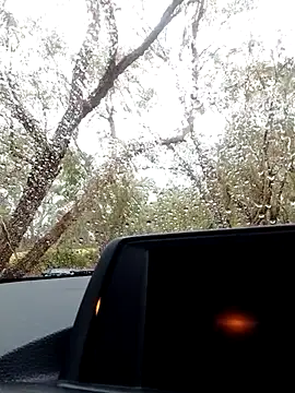 stiffandlubedxh online show from October 21, 9:06 pm