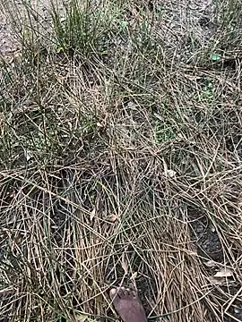 Yurt000 online show from September 16, 4:57 am