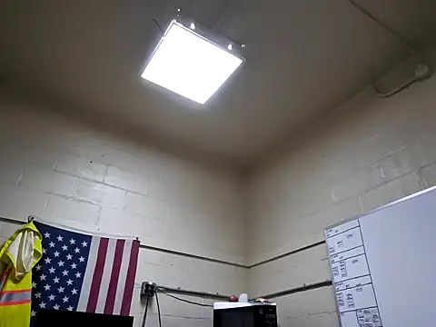 Cockrub1 online show from March 9, 2:00 pm