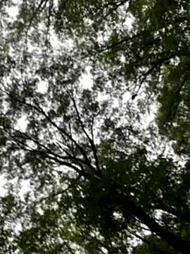 lookin4excitement23 online show from September 10, 10:19 pm