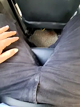 johny 69dxh online show from November 26, 11:35 am