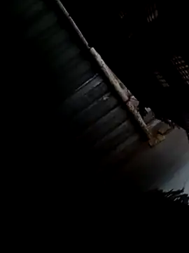 Moreno1813 online show from February 9, 8:33 am