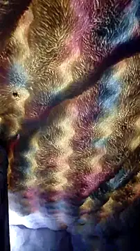 Moreno1813 online show from October 31, 6:39 am