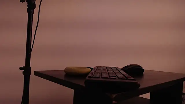 jean sneider online show from January 20, 8:30 am