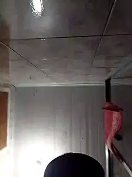 Adee21e online show from November 17, 8:45 pm