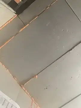 Boysex227 online show from February 7, 8:10 am