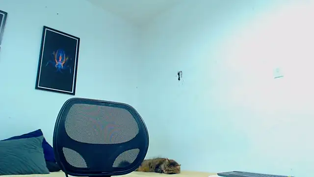 SilvaBranko online show from February 27, 2:52 am