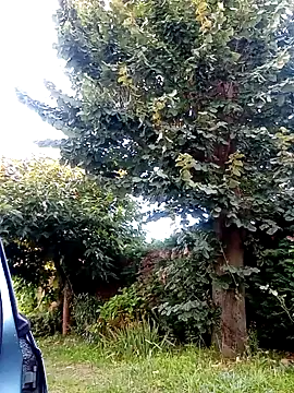 BZHsex online show from September 28, 5:22 pm