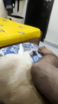 Believerrrr online show from February 5, 4:59 am