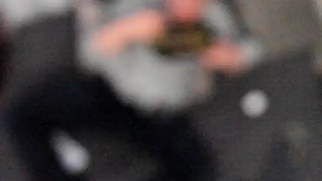 stillwild online show from February 6, 4:42 am