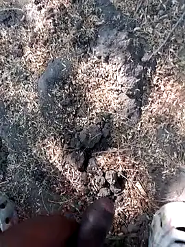 Ajith mvi online show from March 12, 9:50 am