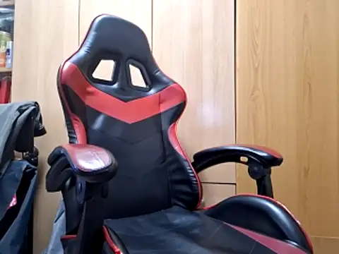 Javier bear online show from February 3, 2:55 pm