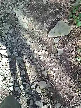 FreezingTie850 online show from April 6, 10:16 am