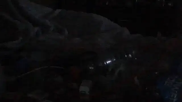 sdmsilver1983 online show from November 13, 6:40 am