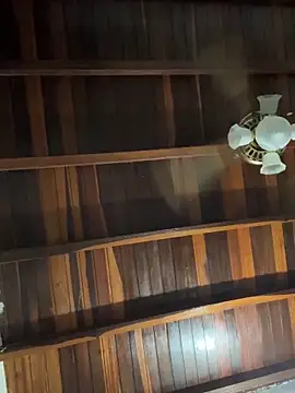 tom thick online show from November 18, 10:45 pm