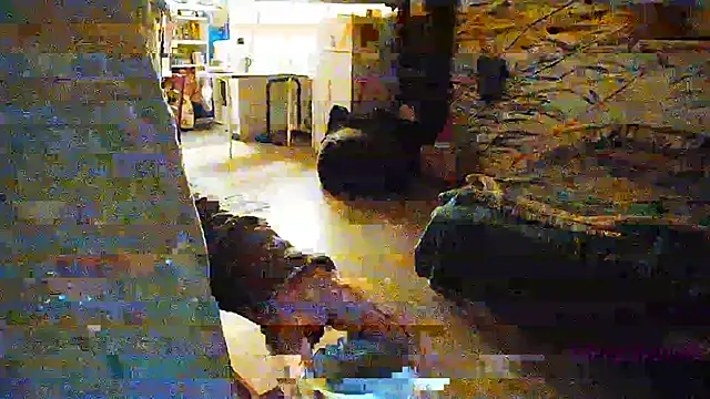 Snapshot of BongChannel chatting on December 19, 4:56 am BongChannel online show from December 19, 4:56 am