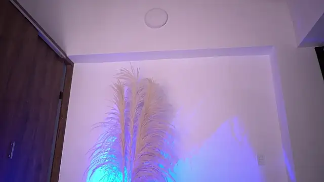 Josep Davies online show from December 4, 11:01 pm