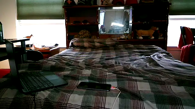 pimpdaddy4ever online show from October 26, 5:48 pm