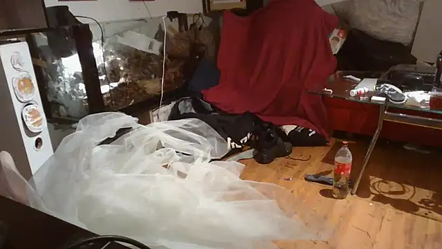 0815lukas2024 online show from December 22, 11:31 pm