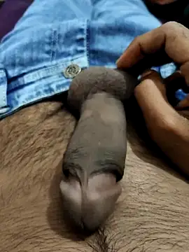 PAWARXX 0 online show from October 6, 8:08 am