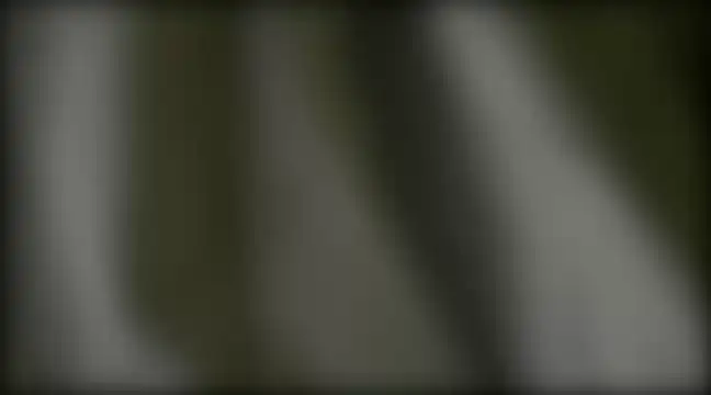 YoungHairyBi online show from February 28, 8:42 am