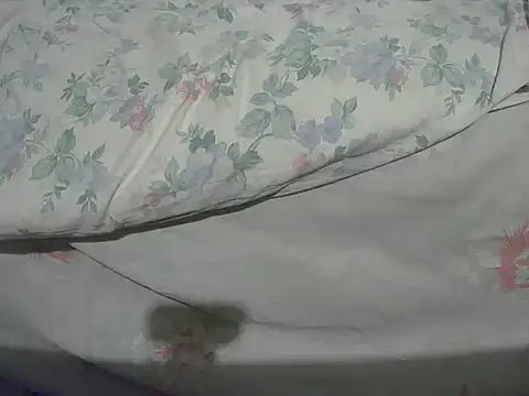 Tiger202441 online show from December 20, 10:32 pm