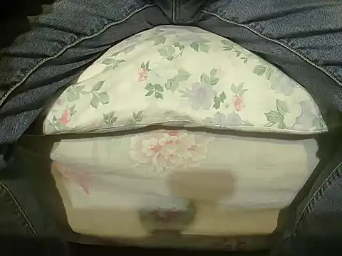 Tiger202441 online show from December 27, 10:37 pm