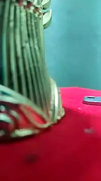 Hunter boy9 online show from January 21, 10:51 pm