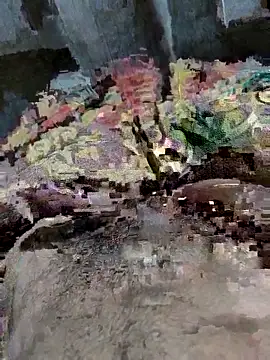 biharihotlund online show from March 9, 4:55 pm