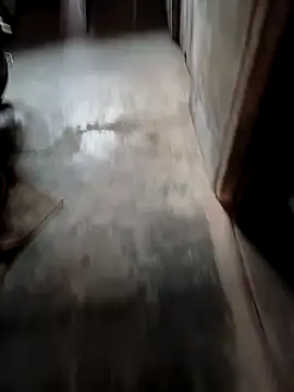 biharihotlund online show from February 20, 2:29 am