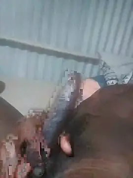 advocate2 online show from November 8, 6:16 am