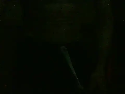 dangerman94 online show from October 22, 2:37 am