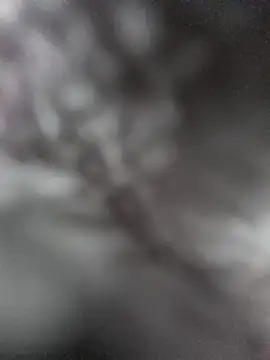 hungarian dick online show from January 31, 9:37 am