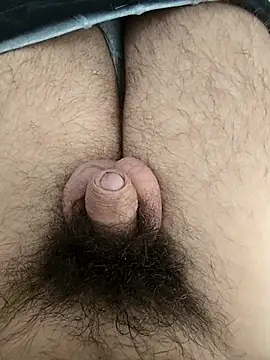 hungarian dick online show from January 8, 10:42 am