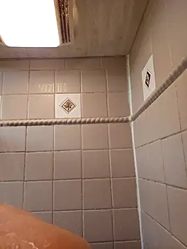 Cobra500hp online show from February 2, 11:29 am