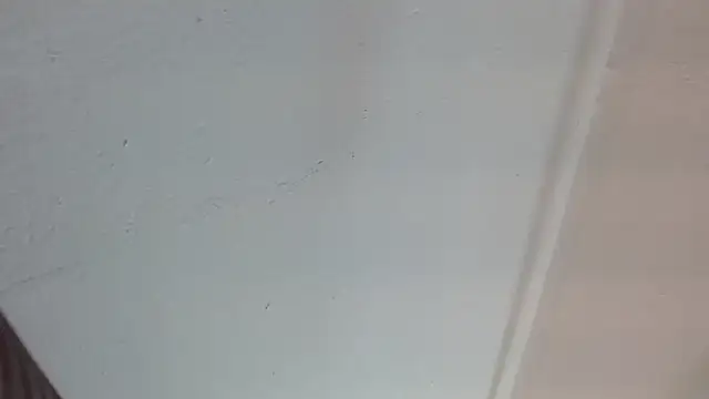 JackSwan18 online show from March 13, 2:35 pm