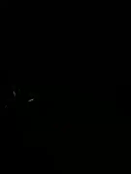 2DemetCCoop2 online show from July 16, 5:36 am